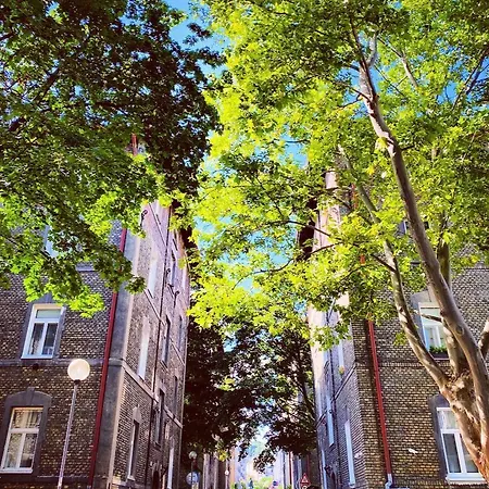 Nook I Palarikova * Pozsony